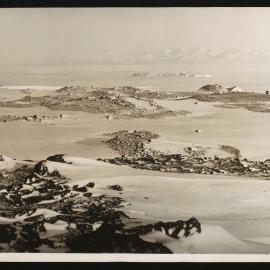 Massam-Prints_Weta_063