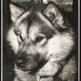 Massam-Prints_Illford_001