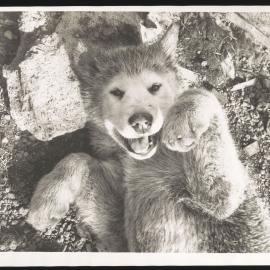 Massam-Prints_Illford_002