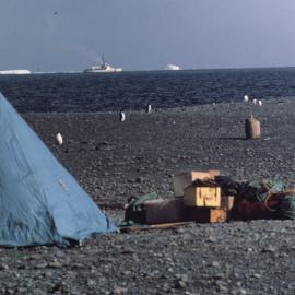 Camp on Ridley Beach, hut restoration party