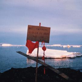 Beach Patrol, Cape Adare