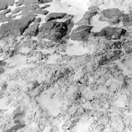 Heine_114-On-the-Ground_010