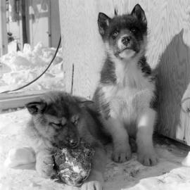 Heine_ANT-1958-60_008