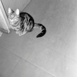 Heine_ANT-1958-60_026