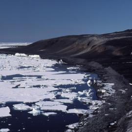 Cape Bird, Southern penguin rookery