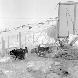 Heine_Antarctic-61-Negs_006