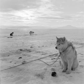 Heine_Antarctic-61-Negs_008