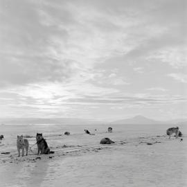 Heine_Antarctic-61-Negs_009
