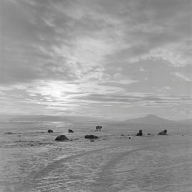 Heine_Antarctic-61-Negs_010
