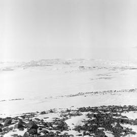 Heine_Antarctic-61-Negs_029