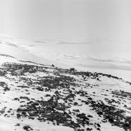 Heine_Antarctic-61-Negs_032