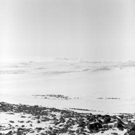 Heine_Antarctic-61-Negs_034