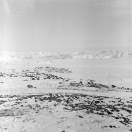 Heine_Antarctic-61-Negs_060