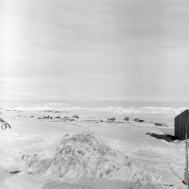 Heine_Antarctic-61-Negs_066