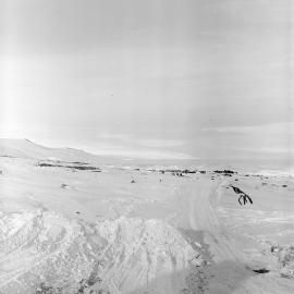 Heine_Antarctic-61-Negs_067