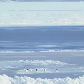 Looking across McMurdo Sound from Cape Bird