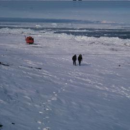 The Beach at Cape Bird