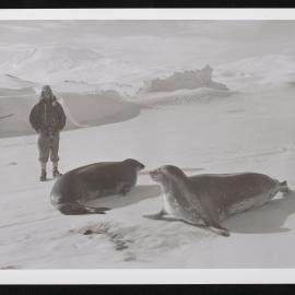 Heine-Prints_1957-1960_097