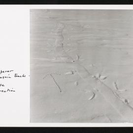 Heine-Prints_1957-1960_098