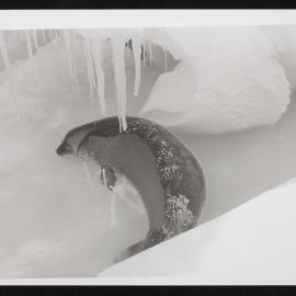 Heine-Prints_1957-1960_099