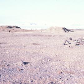 Penguin nesting mounds, Cape Hallett