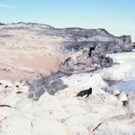Cape Royds 