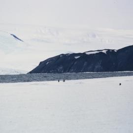 Cape Royds 
