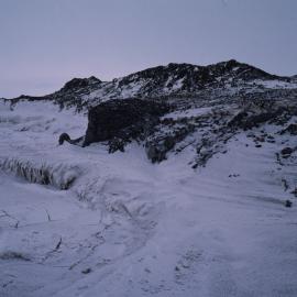 Cape Royds Penguin Colony 