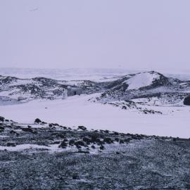 Cape Royds Penguin Colony 