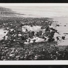 Prints-Around-Scott-Base_001