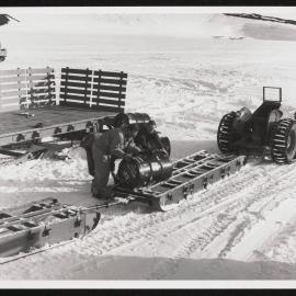 Prints-Around-Scott-Base_010