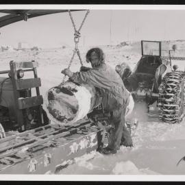 Prints-Around-Scott-Base_014