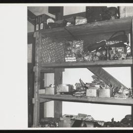 Prints-Around-Scott-Base_016