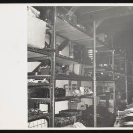 Prints-Around-Scott-Base_017