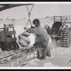 Prints-Around-Scott-Base_022