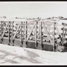 Prints-Around-Scott-Base_033