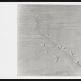 Vanda-Asgard-Range_025