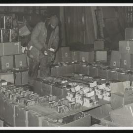 Vanda-Asgard-Range_026