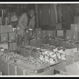 Vanda-Asgard-Range_027