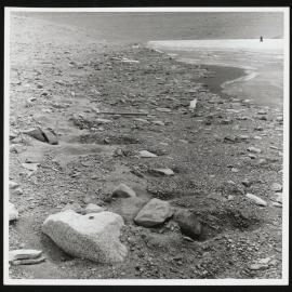 Vanda-Asgard-Range_036