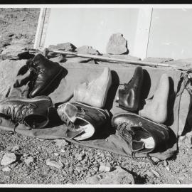 Vanda-Asgard-Range_058