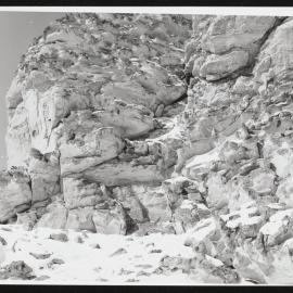 Vanda-Asgard-Range_069