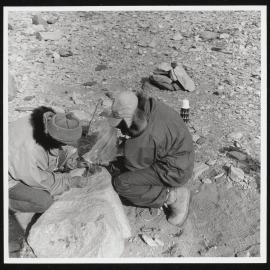 Vanda-Asgard-Range_075