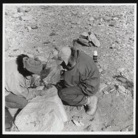 Vanda-Asgard-Range_076