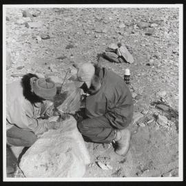 Vanda-Asgard-Range_080