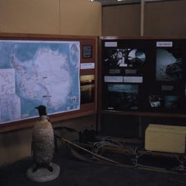 DSIR 50th Anniversary Display 