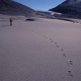 Packard Glacier- Victoria Valley 