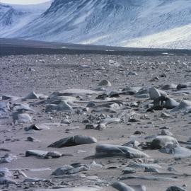 Insel Range 