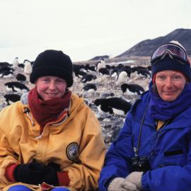 Working in an Adelie Penguin Colony
