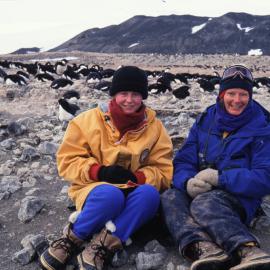 Working in an Adelie Penguin Colony